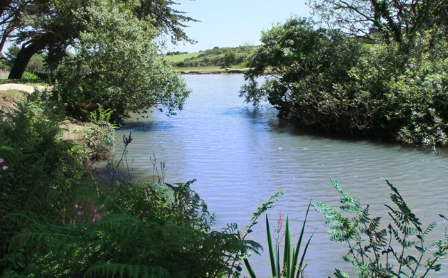 View from Fir Tree Pond